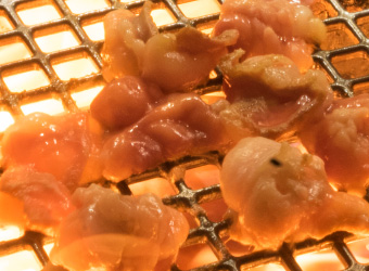 黒毛和牛ホルモン